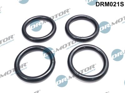 Gasket, intake manifold Dr.Motor Automotive DRM021S