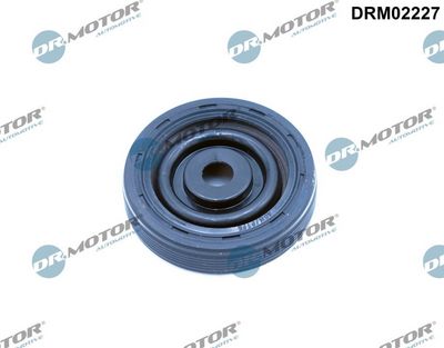 Shaft Seal, crankshaft Dr.Motor Automotive DRM02227