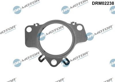 Gasket, charger Dr.Motor Automotive DRM02238