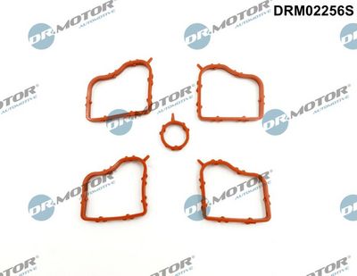 Gasket Set, cylinder head cover Dr.Motor Automotive DRM02256S