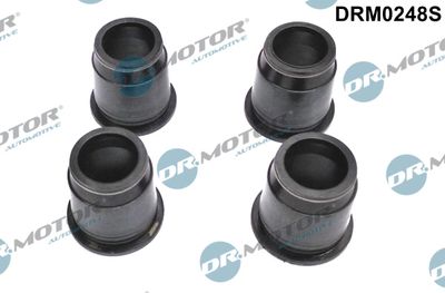 Seal, injector holder Dr.Motor Automotive DRM0248S