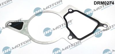 Gasket, vacuum pump Dr.Motor Automotive DRM0274