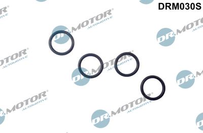Seal Ring, nozzle holder Dr.Motor Automotive DRM030S