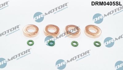 Seal Kit, injector nozzle Dr.Motor Automotive DRM0405SL