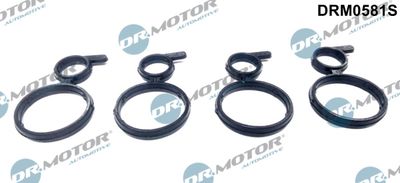 Seal, camshaft sealing cover Dr.Motor Automotive DRM0581S