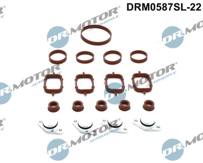 Repair Kit, intake manifold module Dr.Motor Automotive DRM0587SL-22