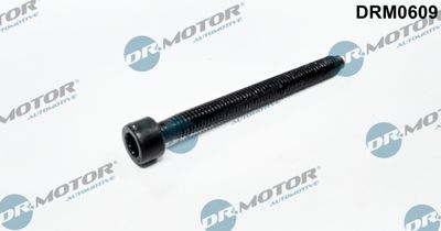 Screw, injection nozzle holder Dr.Motor Automotive DRM0609