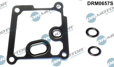 Gasket Set, oil cooler Dr.Motor Automotive DRM0657S