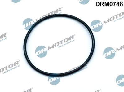 Gasket, vacuum pump Dr.Motor Automotive DRM0748