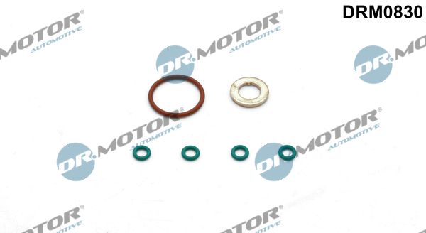 Dr.Motor Automotive DRM0830 Seal Kit, injector nozzle