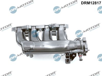 Intake Manifold Module Dr.Motor Automotive DRM12817