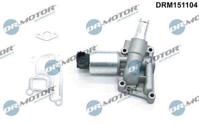 EGR Valve Dr.Motor Automotive DRM151104