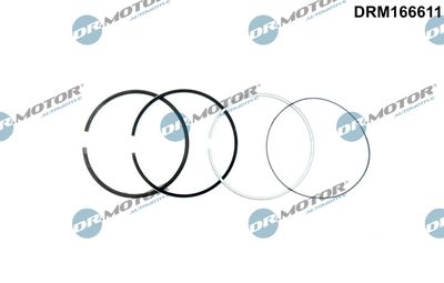 Piston Ring Kit Dr.Motor Automotive DRM166611