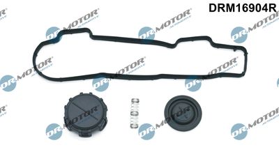 Gasket Set, cylinder head cover Dr.Motor Automotive DRM16904R