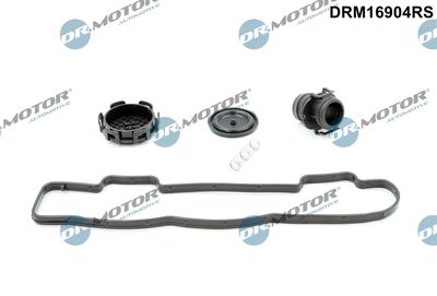 Gasket Set, cylinder head cover Dr.Motor Automotive DRM16904RS