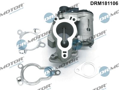 EGR Valve Dr.Motor Automotive DRM181106