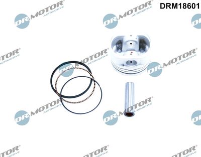 Piston Dr.Motor Automotive DRM18601