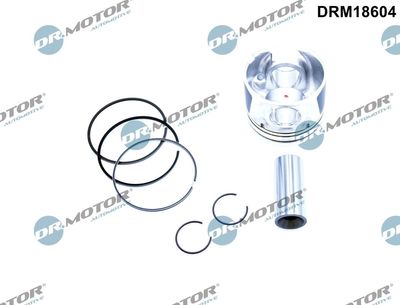 Piston Dr.Motor Automotive DRM18604