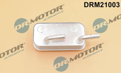 Oil Cooler, automatic transmission Dr.Motor Automotive DRM21003