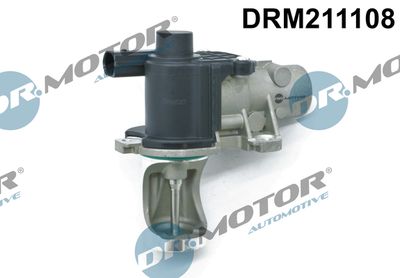 EGR Valve Dr.Motor Automotive DRM211108