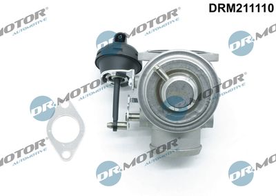 EGR Valve Dr.Motor Automotive DRM211110