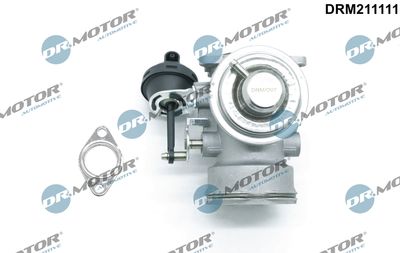 EGR Valve Dr.Motor Automotive DRM211111