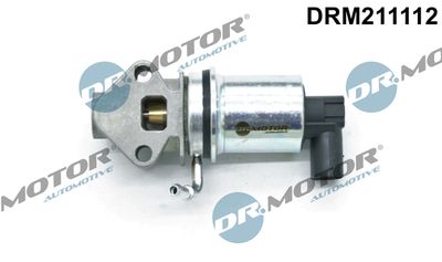 EGR Valve Dr.Motor Automotive DRM211112