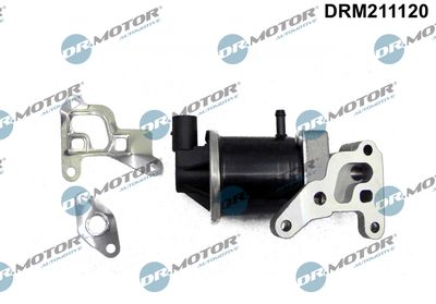 EGR Valve Dr.Motor Automotive DRM211120