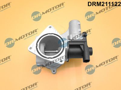 EGR Valve Dr.Motor Automotive DRM211122