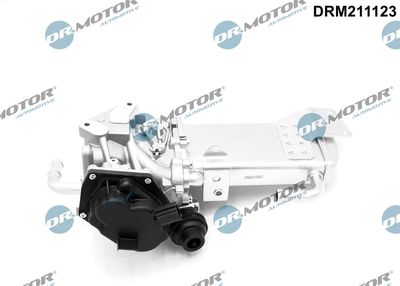 EGR Valve Dr.Motor Automotive DRM211123