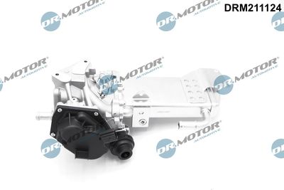EGR Valve Dr.Motor Automotive DRM211124