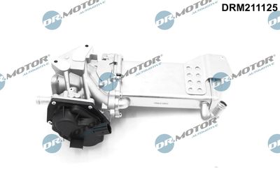 EGR Valve Dr.Motor Automotive DRM211125