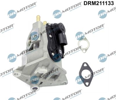 EGR Valve Dr.Motor Automotive DRM211133