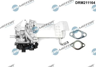 EGR Valve Dr.Motor Automotive DRM211164