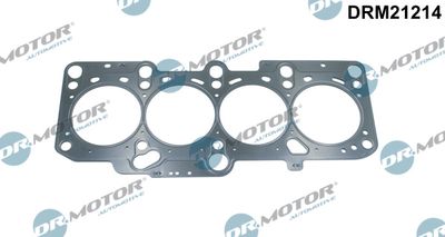 Gasket, cylinder head Dr.Motor Automotive DRM21214