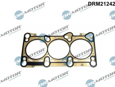 Gasket, cylinder head Dr.Motor Automotive DRM21242