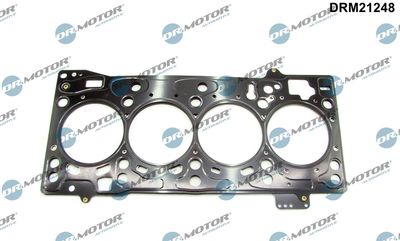 Gasket, cylinder head Dr.Motor Automotive DRM21248