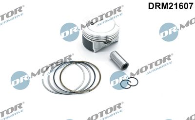 Piston Dr.Motor Automotive DRM21607