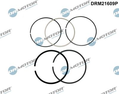 Piston Ring Kit Dr.Motor Automotive DRM21609P