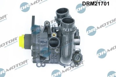 Water Pump, engine cooling Dr.Motor Automotive DRM21701