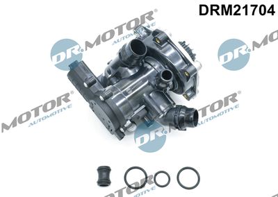 Water Pump, engine cooling Dr.Motor Automotive DRM21704