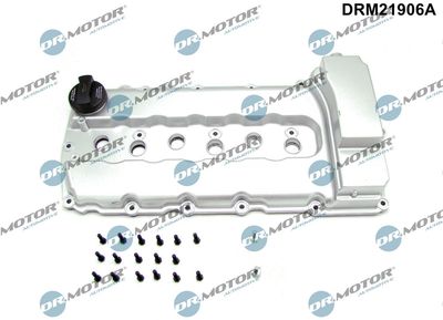 Cylinder Head Cover Dr.Motor Automotive DRM21906A