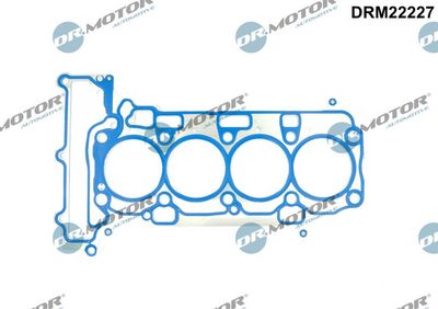 Gasket, cylinder head Dr.Motor Automotive DRM22227