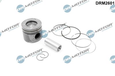 Piston Dr.Motor Automotive DRM2601