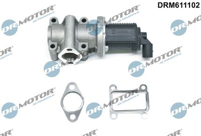 EGR Valve Dr.Motor Automotive DRM611102