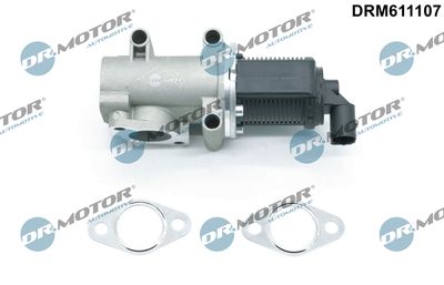 EGR Valve Dr.Motor Automotive DRM611107