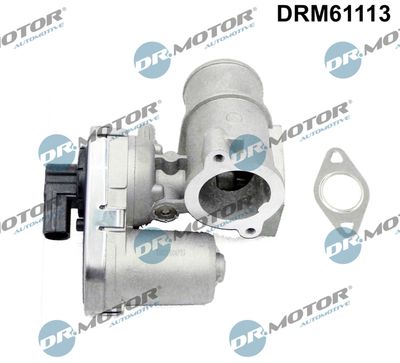 EGR Valve Dr.Motor Automotive DRM61113