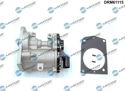 EGR Valve Dr.Motor Automotive DRM61115