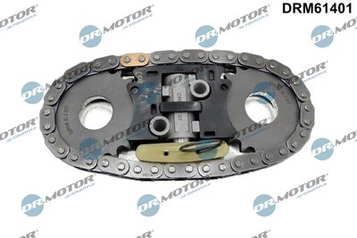 Timing Chain Kit Dr.Motor Automotive DRM61401