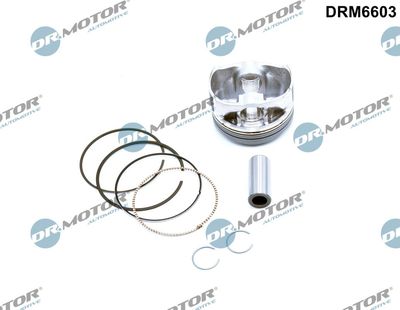 Piston Dr.Motor Automotive DRM6603